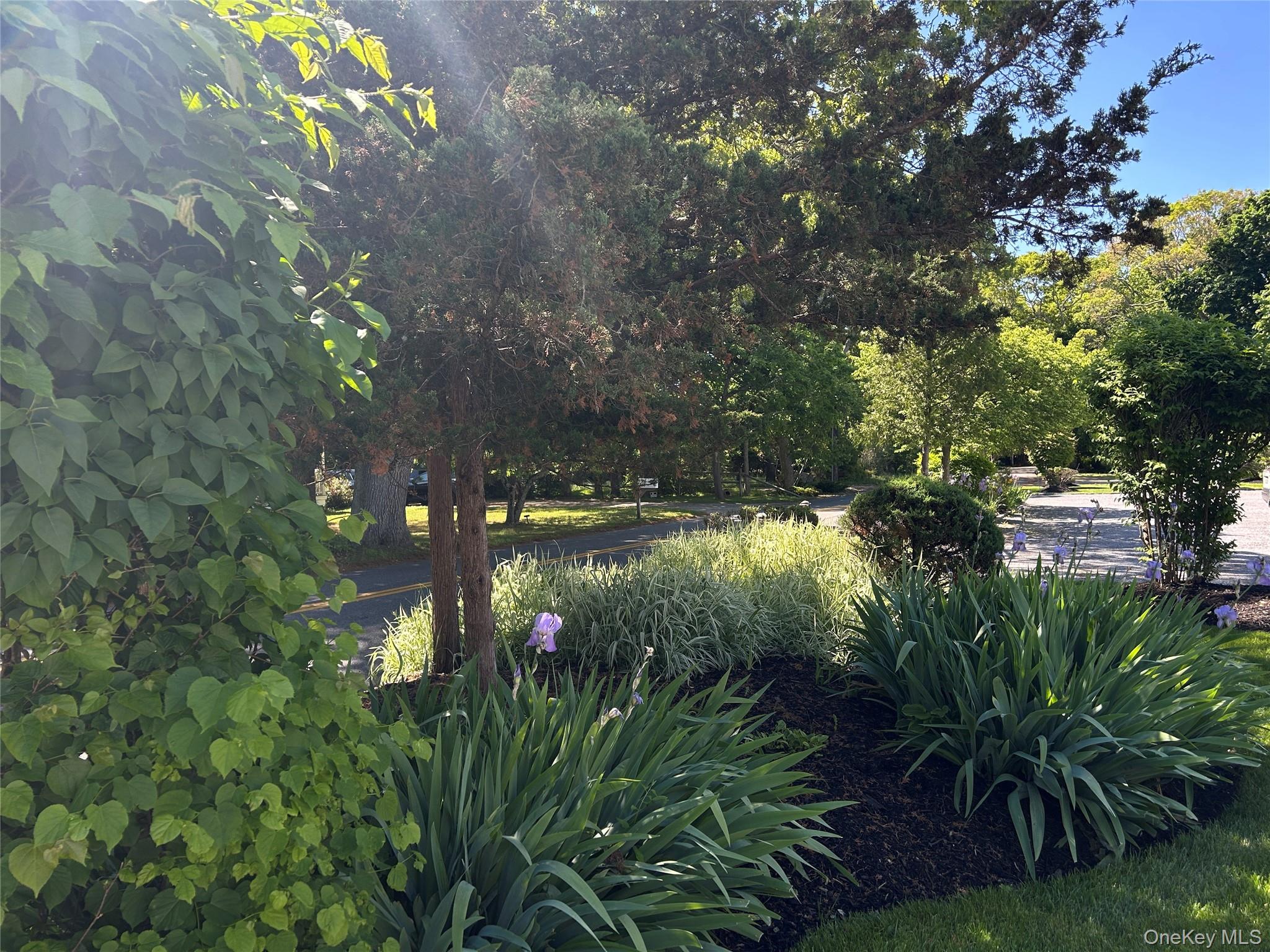 10th image of 43 Brushy Neck Ln #13, Southampton, NY 11977 | MLS# 1033557