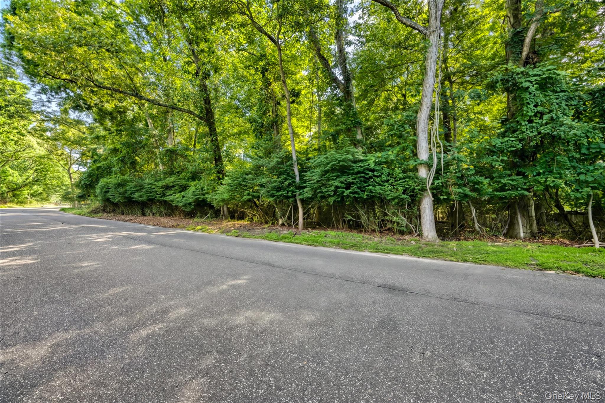 2nd image of 48 Swezeytown Rd S, Brookhaven, NY 11953 | MLS# 1033682