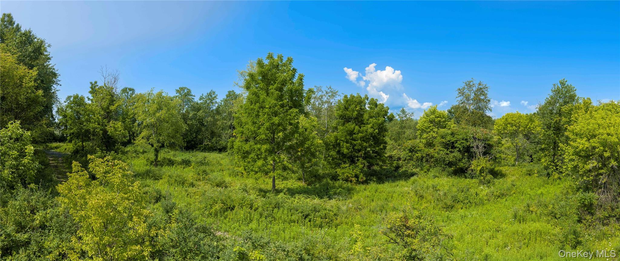1st image of (lot 1) 111 South St, Lloyd, NY 12528 | MLS# 1034353