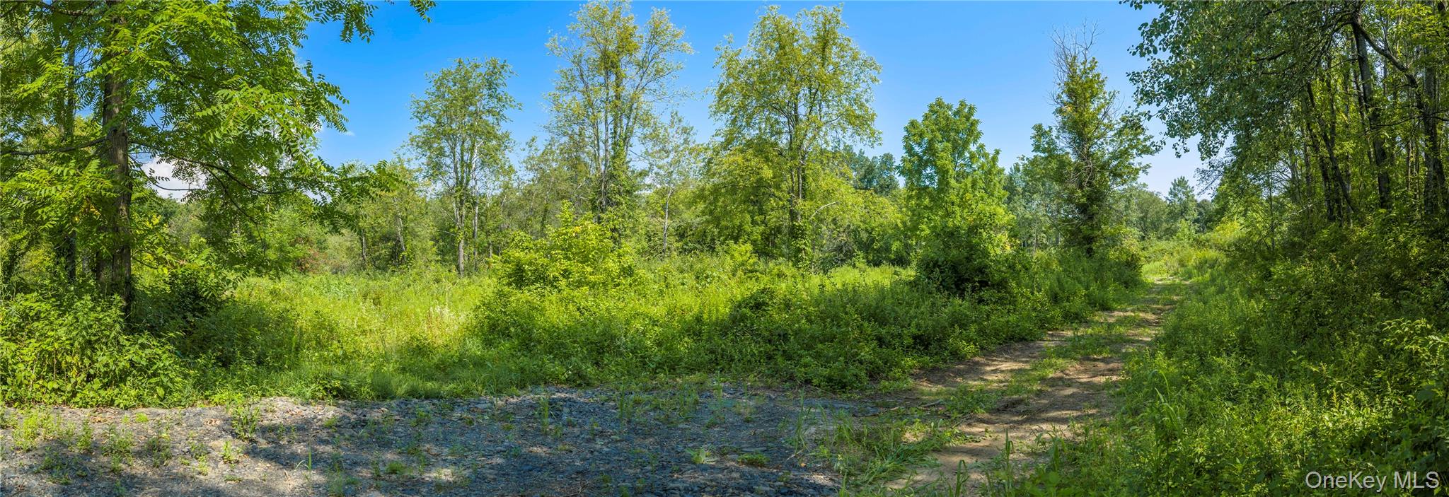 1st image of (lot 2) 111 South St, Lloyd, NY 12528 | MLS# 1034379