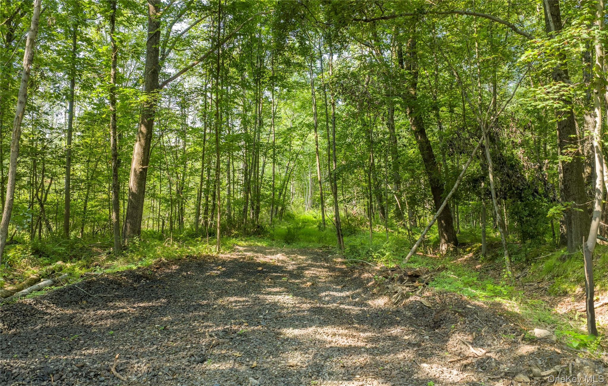 1st image of (lot 4) 111 South St, Lloyd, NY 12528 | MLS# 1034387