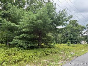 1st image of 695 Big Pond Rd, Deerpark, NY 12746 | MLS# 1034518