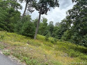 2nd image of 695 Big Pond Rd, Deerpark, NY 12746 | MLS# 1034518