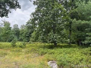 3rd image of 695 Big Pond Rd, Deerpark, NY 12746 | MLS# 1034518