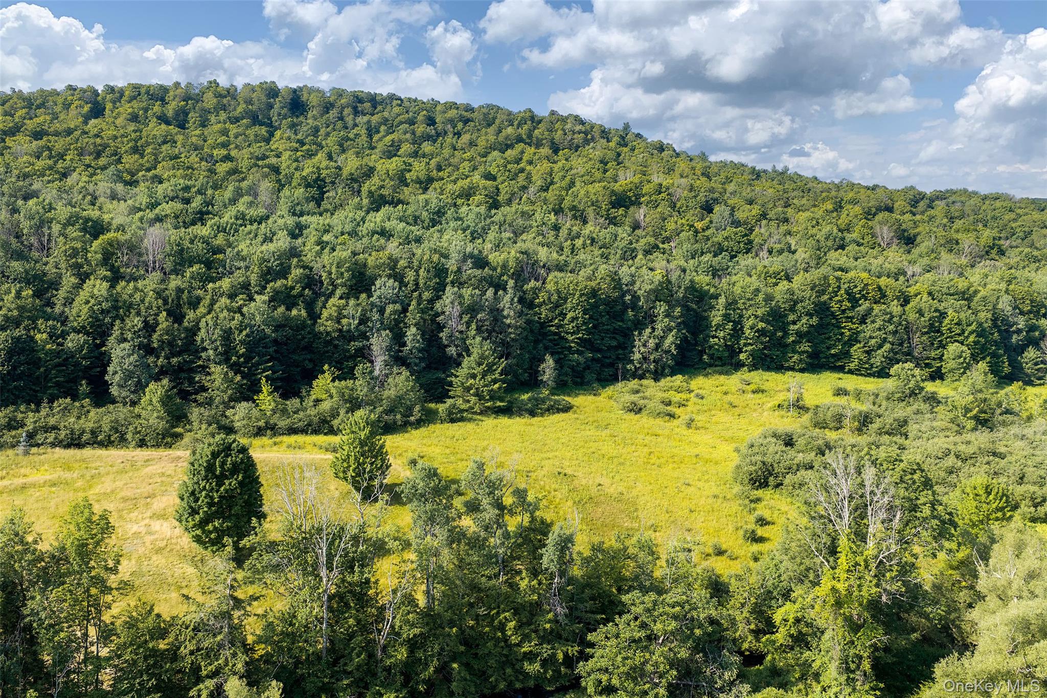 5th image of Lot #11 Franklin Depot Rd, Sidney, NY 13838 | MLS# 1034570