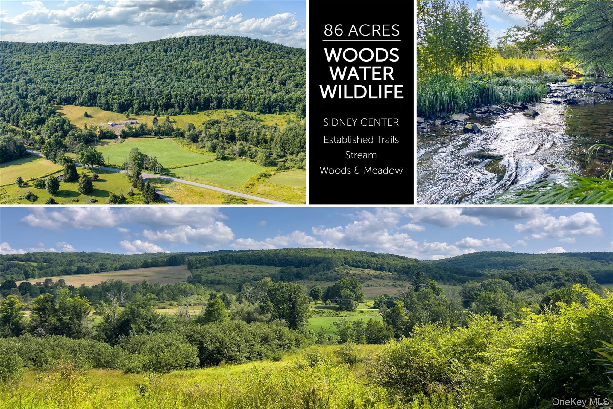 1st image of Lot #11 Franklin Depot Rd, Sidney, NY 13838 | MLS# 1034570