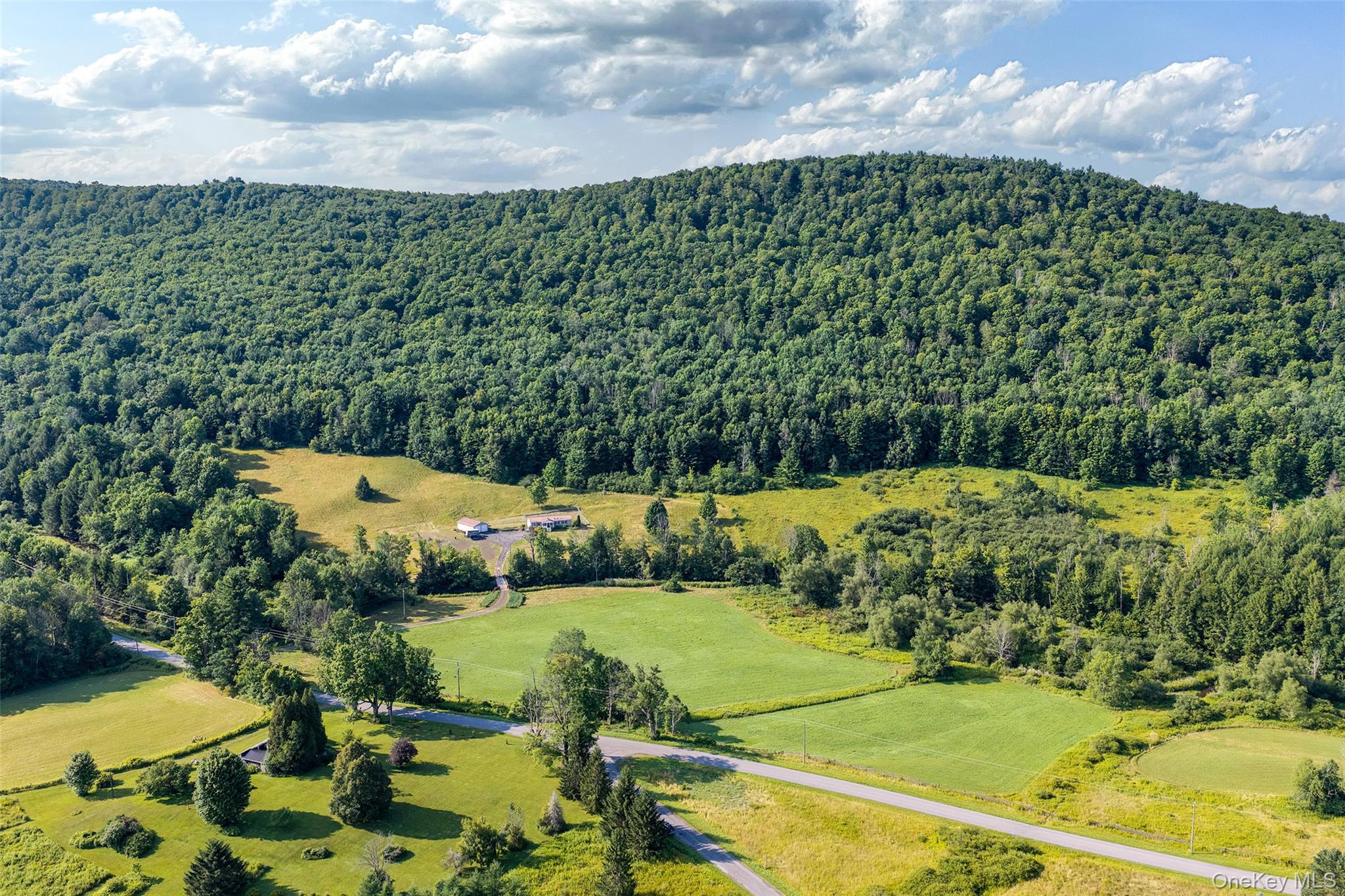 4th image of Lot #11 Franklin Depot Rd, Sidney, NY 13838 | MLS# 1034570