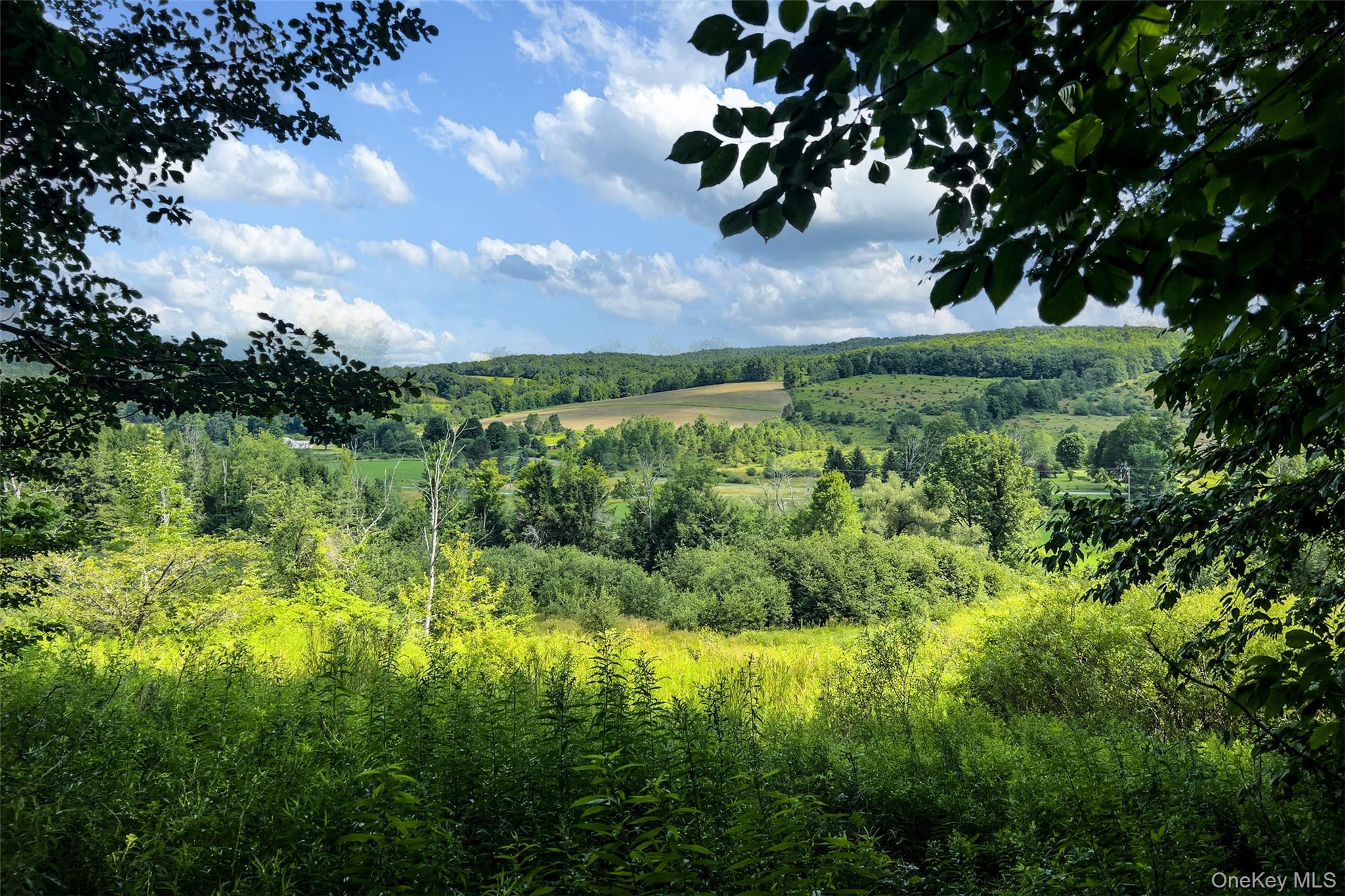 50th image of Lot #11 Franklin Depot Rd, Sidney, NY 13838 | MLS# 1034570