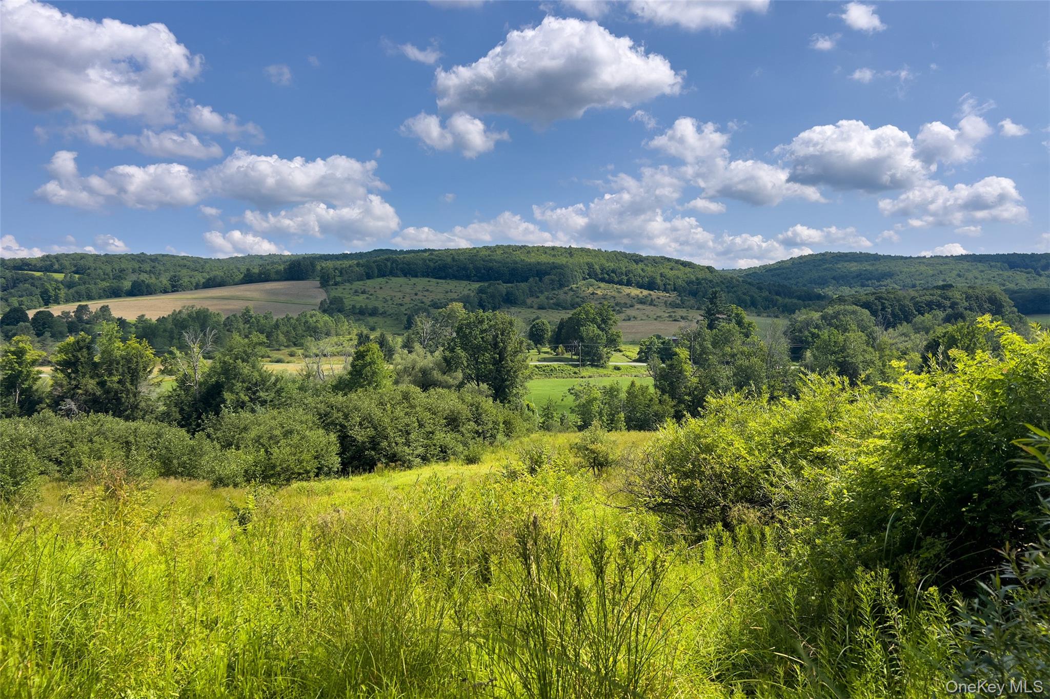 3rd image of Lot #11 Franklin Depot Rd, Sidney, NY 13838 | MLS# 1034570