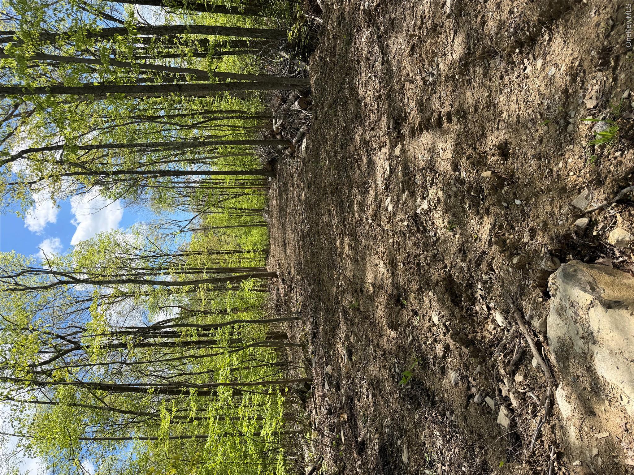 1st image of 748 State Route 44 55, Plattekill, NY 12528 | MLS# 1034599