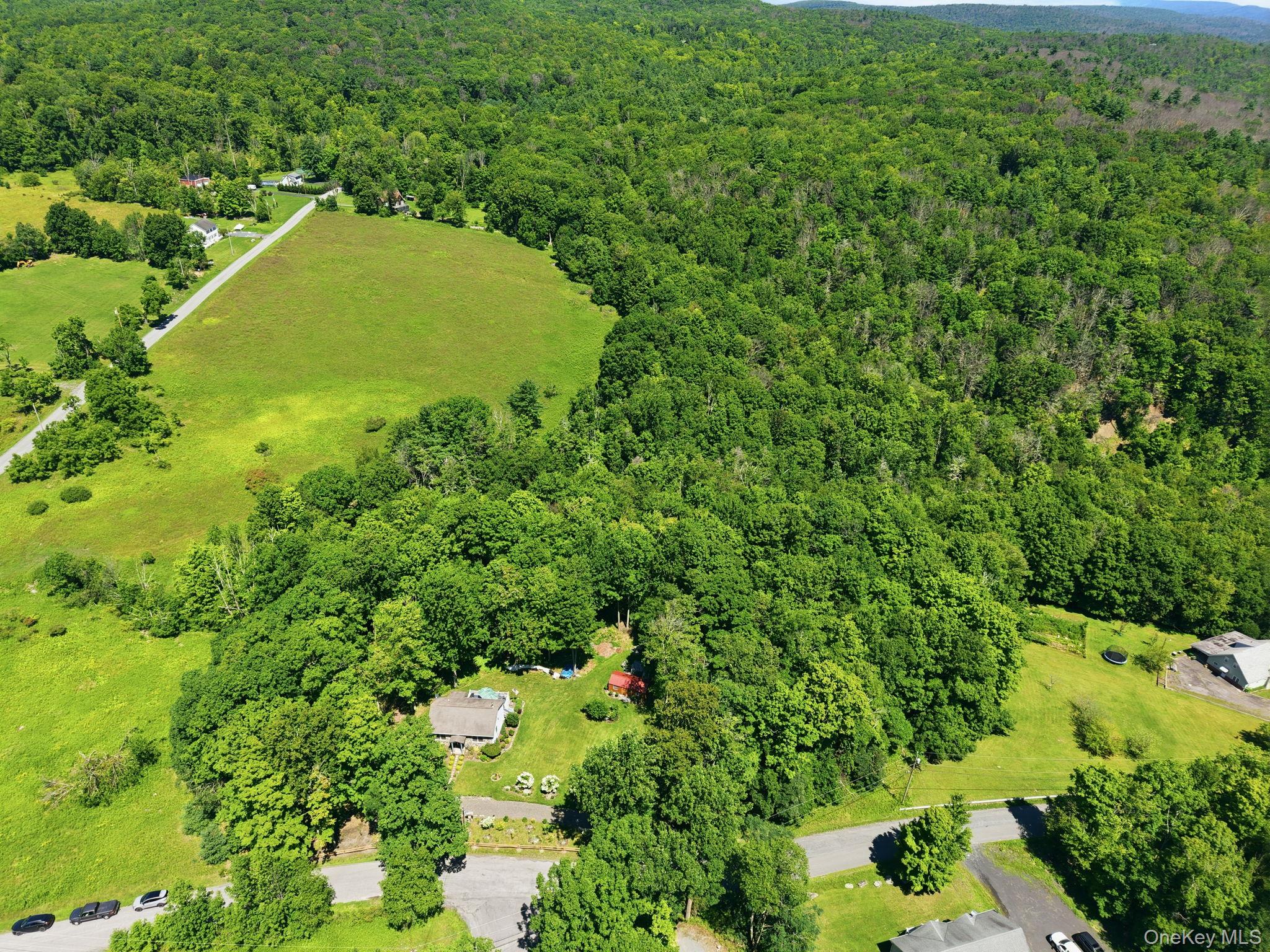34th image of 661 Oak Ridge Rd, Wawarsing, NY 12428 | MLS# 1035508