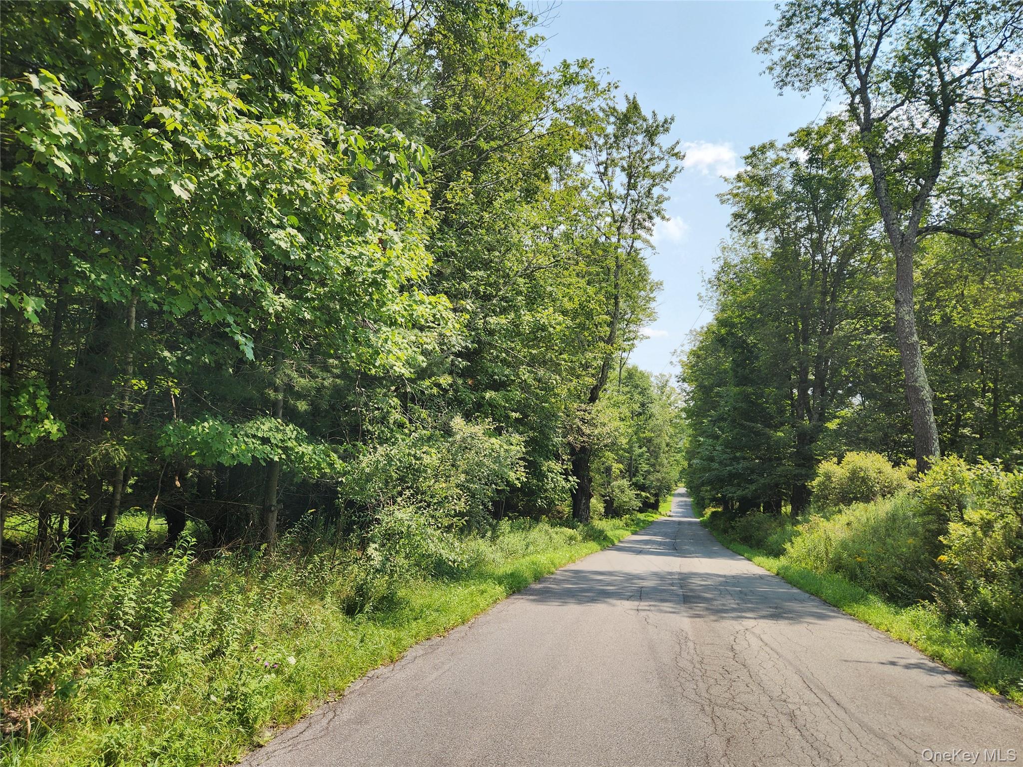 Photo 1 of Land for sale at Soule Rd, Bethel, NY 12720 | MLS# 1035950 | Listing updated on 2026-09-03
