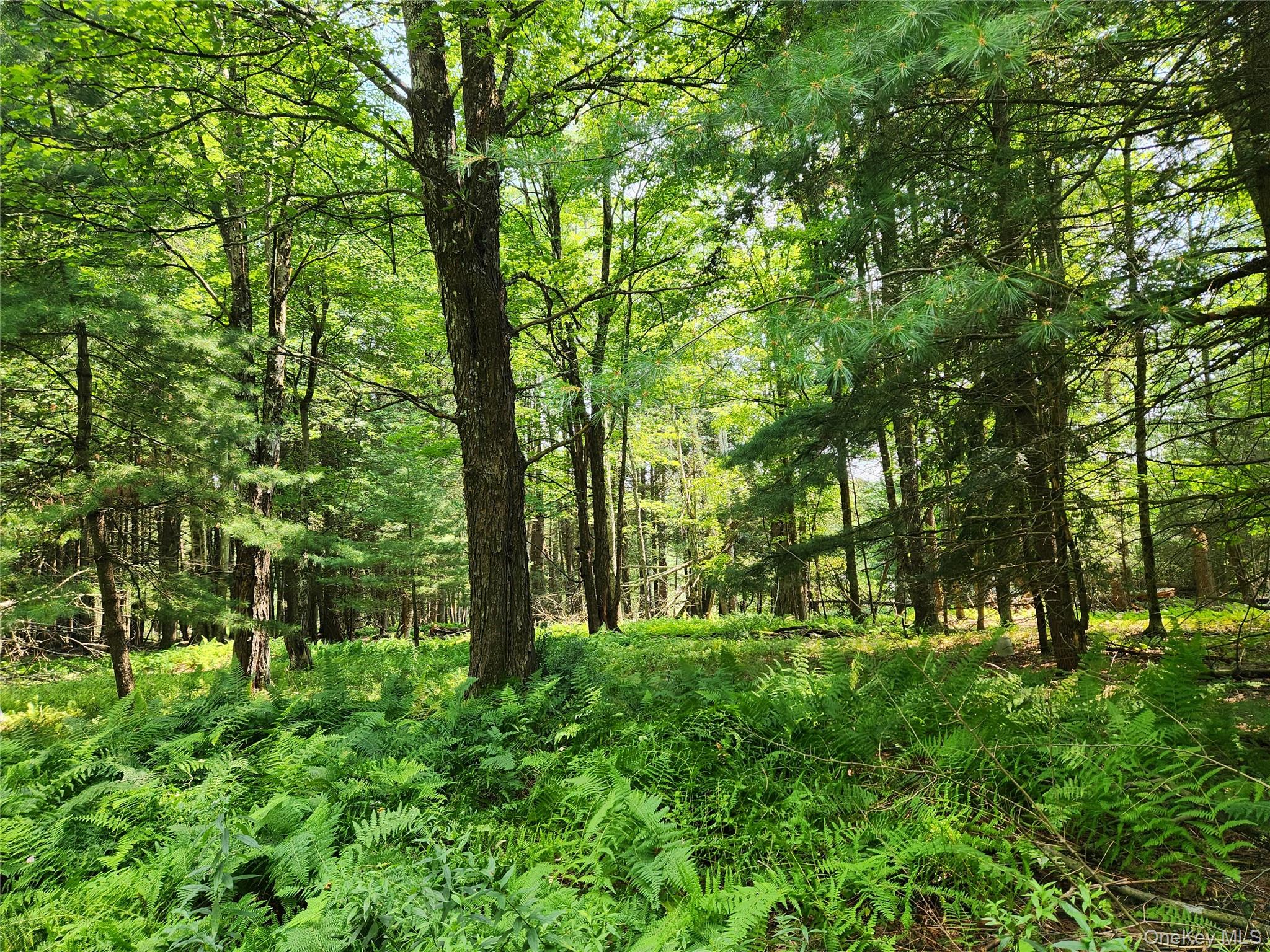 Photo 2 of Land for sale at Soule Rd, Bethel, NY 12720 | MLS# 1035950 | Listing updated on 2026-09-03