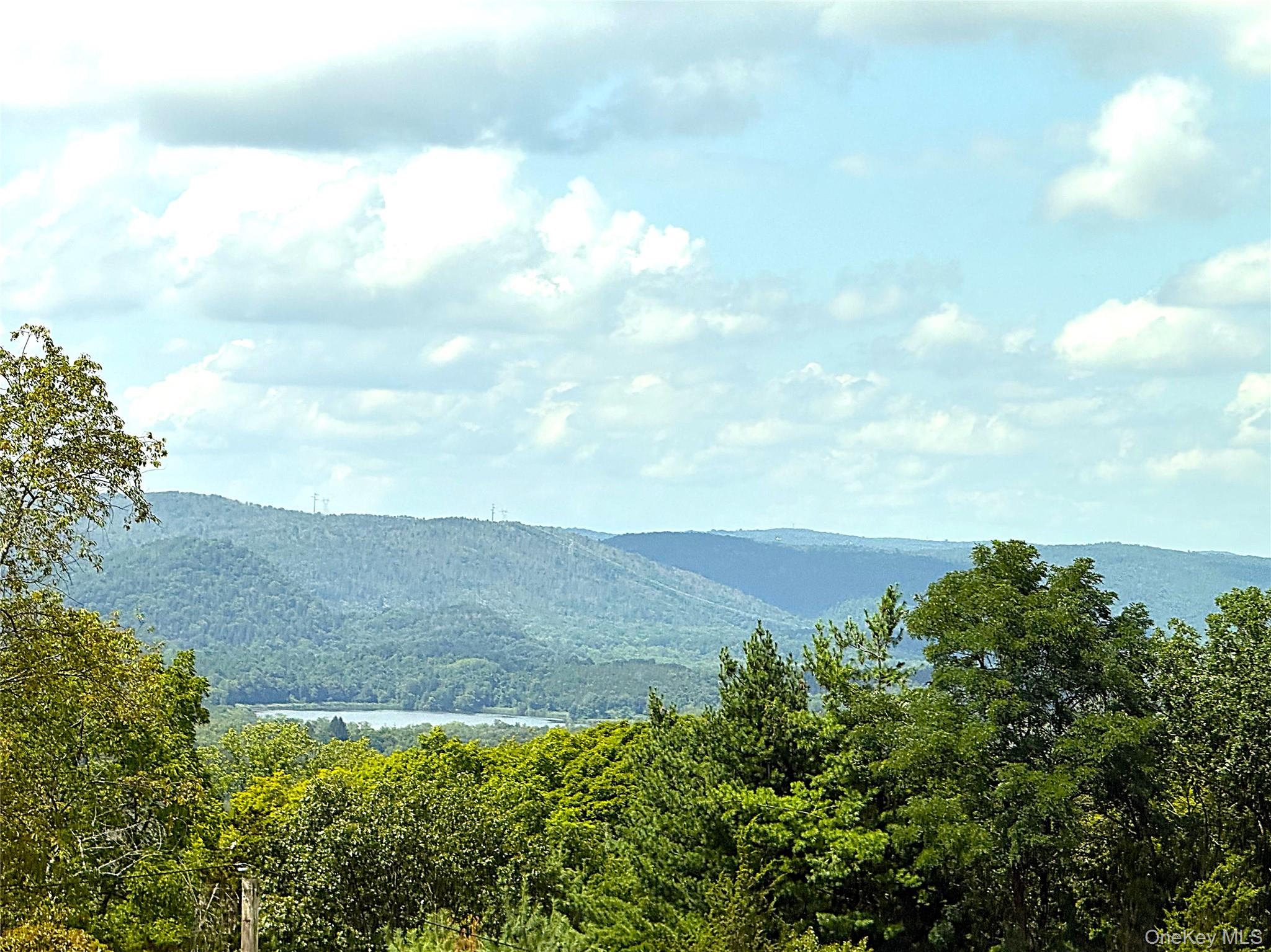 35th image of 125 Sheldon Rd, Dover, NY 12594 | MLS# 1036001
