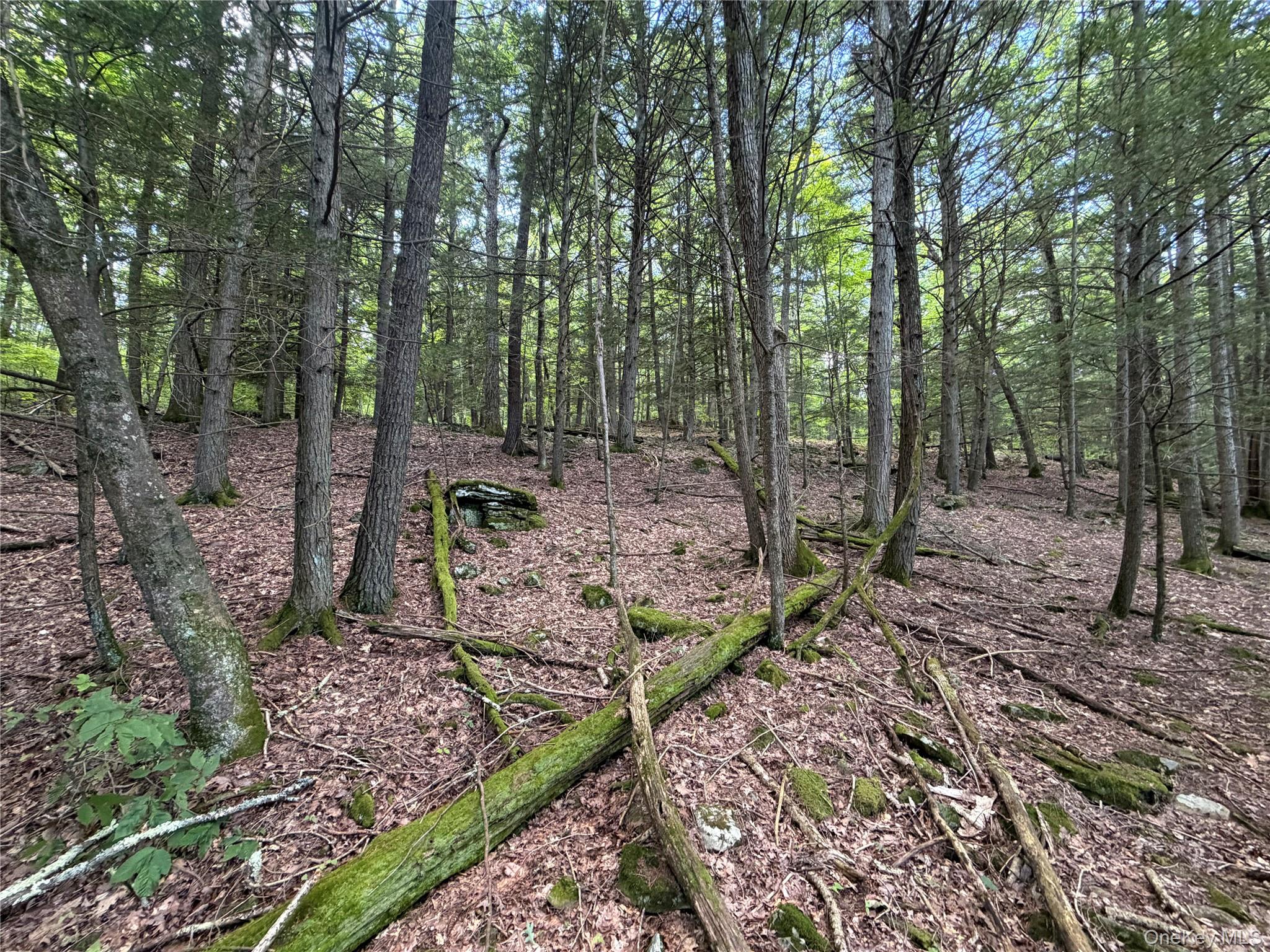 40th image of 463 Main St, Saugerties, NY 12477 | MLS# 1036223