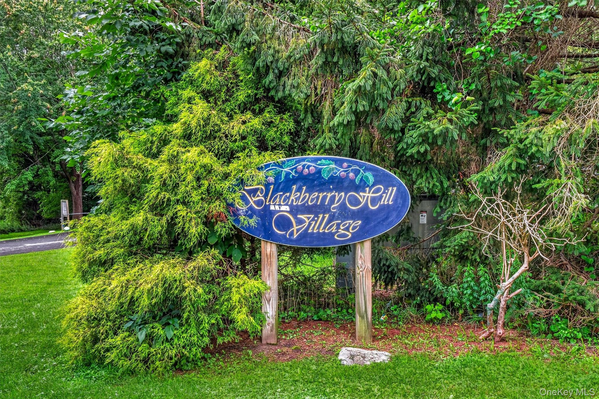 1st image of 803 Village Dr, Southeast, NY 10509 | MLS# 1036319