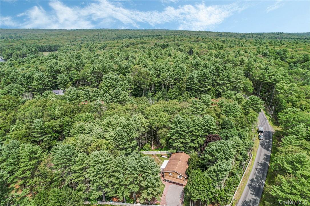 2nd image of 2 Hollowaty Kosak Rd, Lumberland, NY 12737 | MLS# 1036624