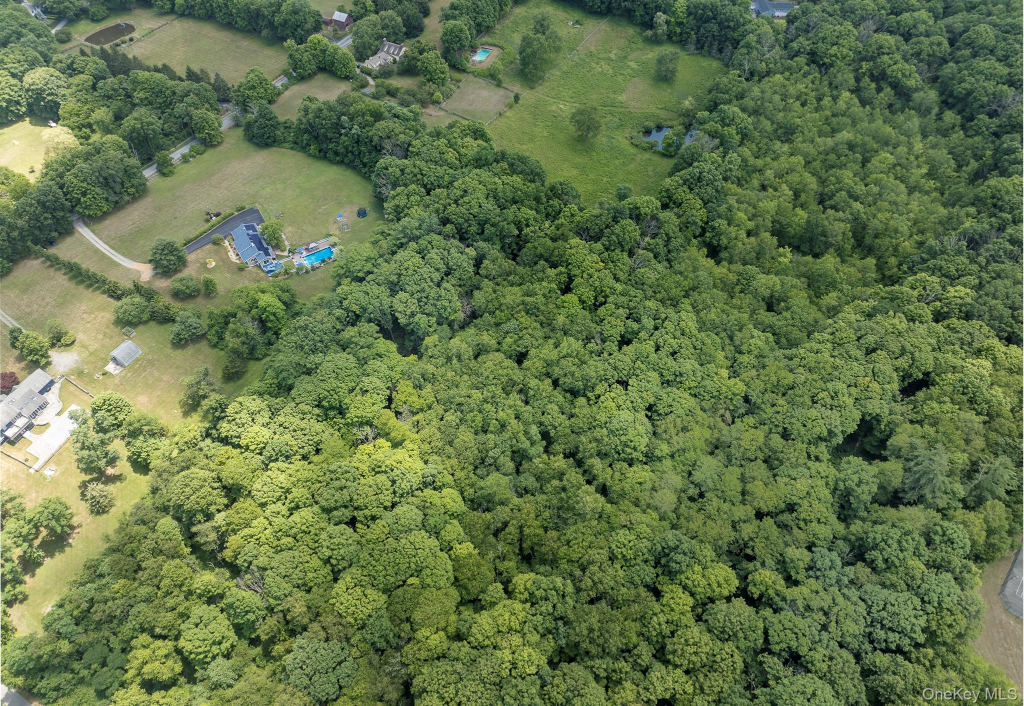 41st image of 61 Rymph Rd, Clinton, NY 12580 | MLS# 1037208