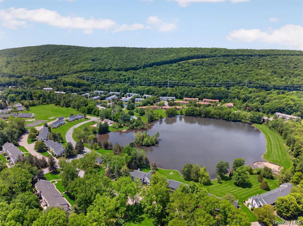 46th image of 607 Mountain Laurel Dr, Monroe, NY 10950 | MLS# 1037650