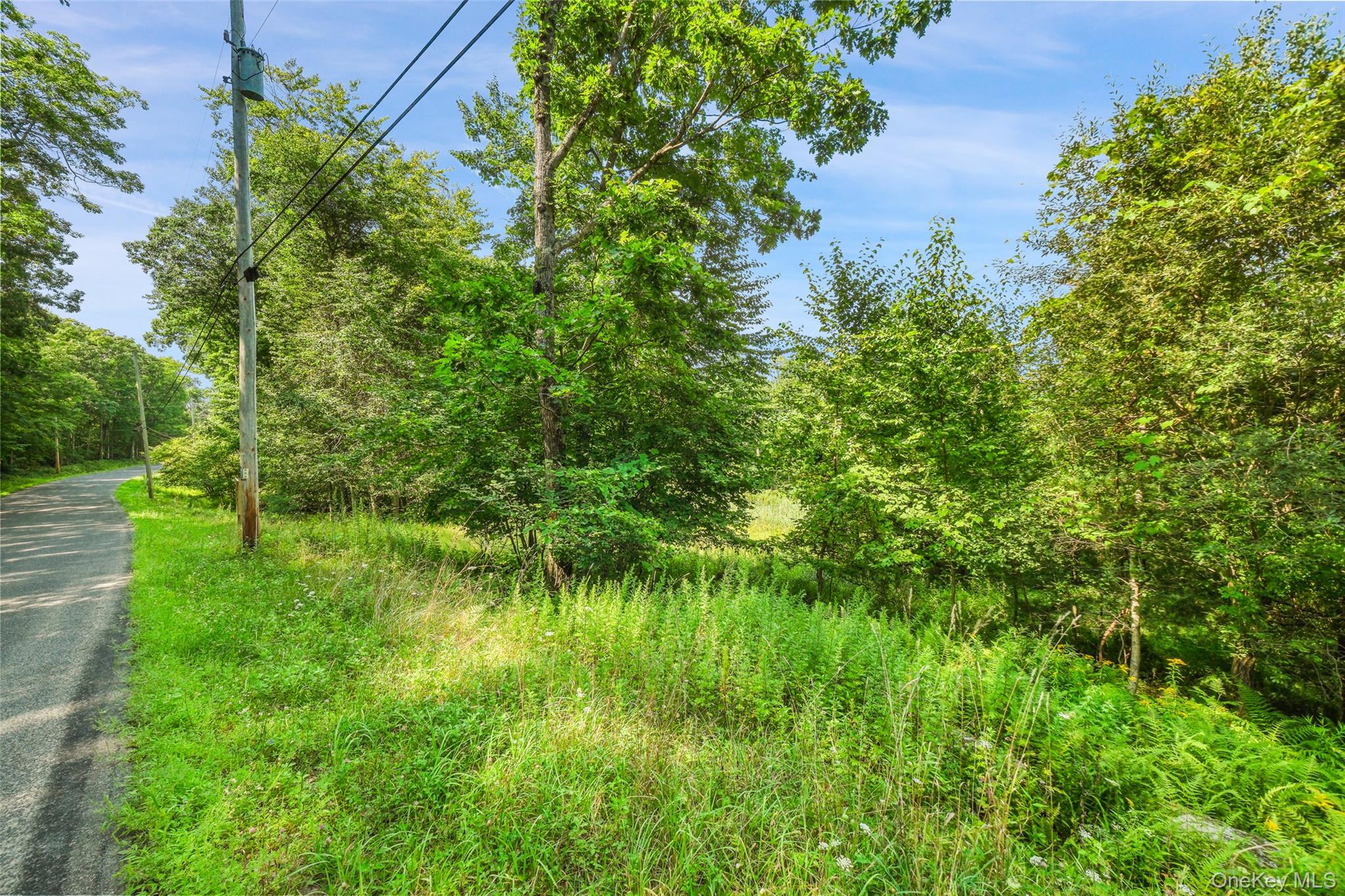 23rd image of 346 Oak Ridge Rd, Wawarsing, NY 12428 | MLS# 1037667