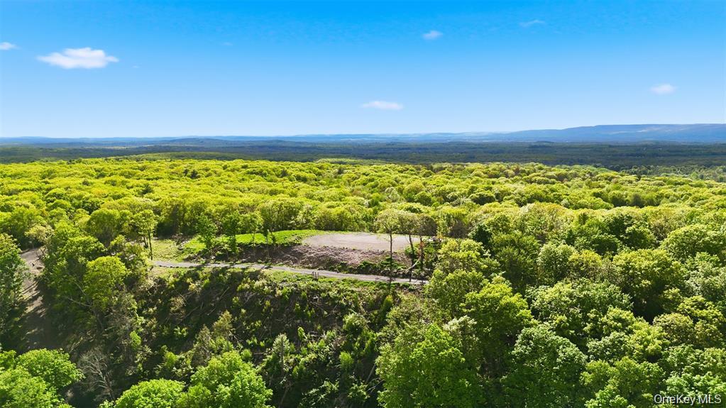 2nd image of 229 Mount Zion Rd, Marlboro, NY 12542 | MLS# 1038702