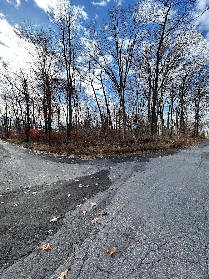 1st image of Anthony Rd, Kent, NY 10512 | MLS# 1038844
