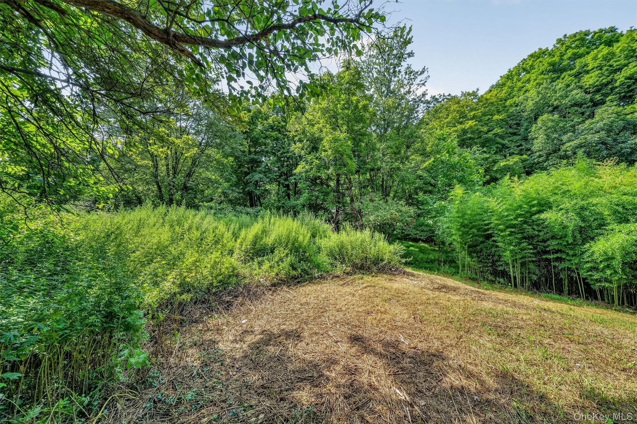 32nd image of 61 Main St, Minisink, NY 10988 | MLS# 1039303