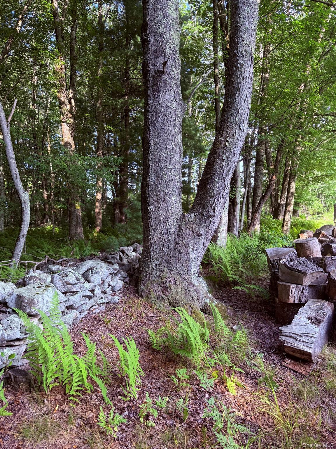 27th image of 412 Brown Rd, Wawarsing, NY 12428 | MLS# 1039337