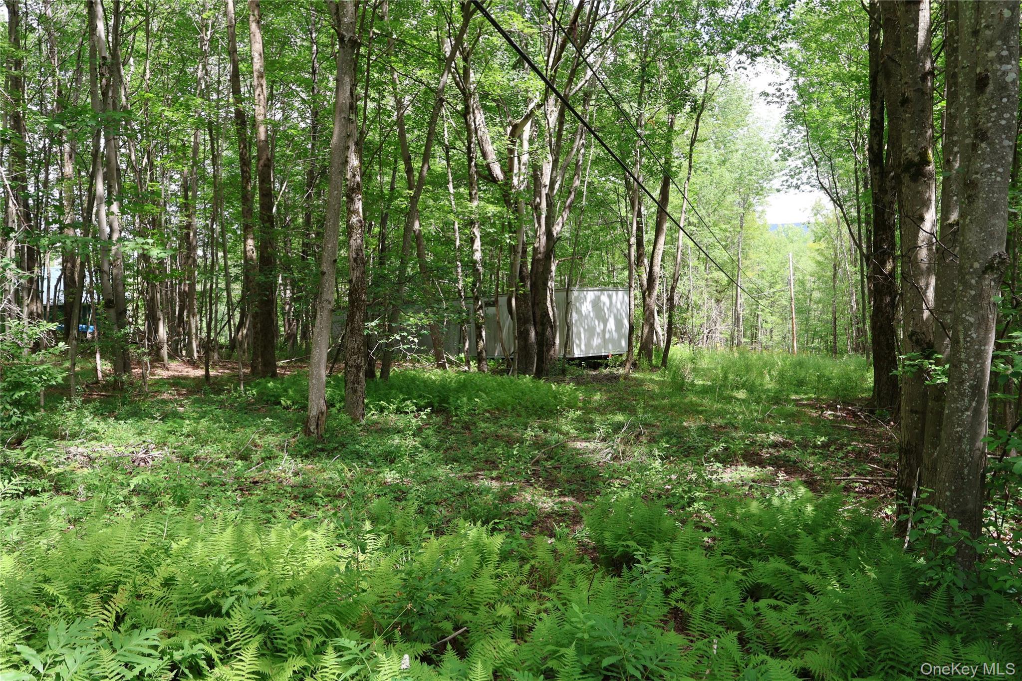2nd image of 7401 Millbrook Rd, Hardenburgh, NY 12406 | MLS# 1039867
