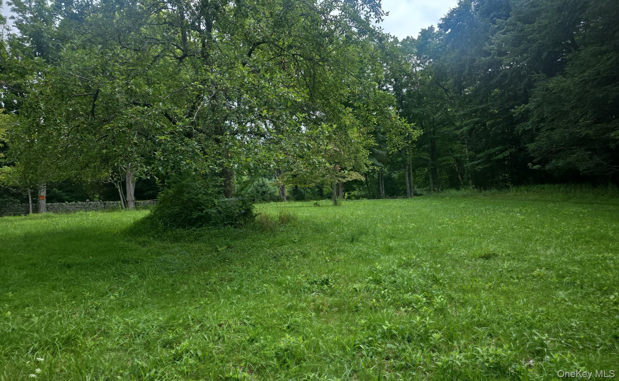 1st image of 127 Old Cahoonzie Rd, Deerpark, NY 12780 | MLS# 1040301