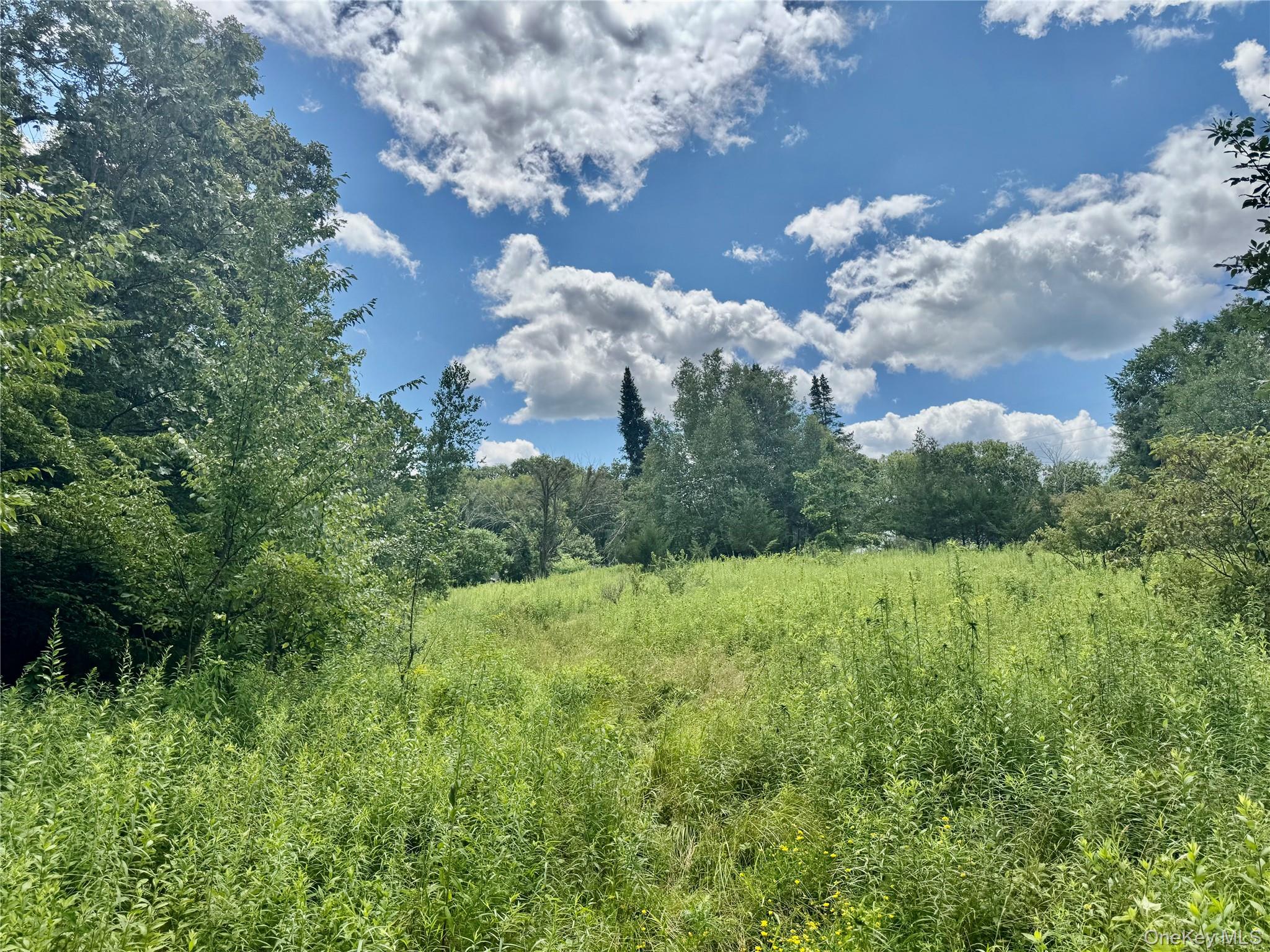 20th image of 64 Homestead Ln, Mount Hope, NY 10963 | MLS# 1041310