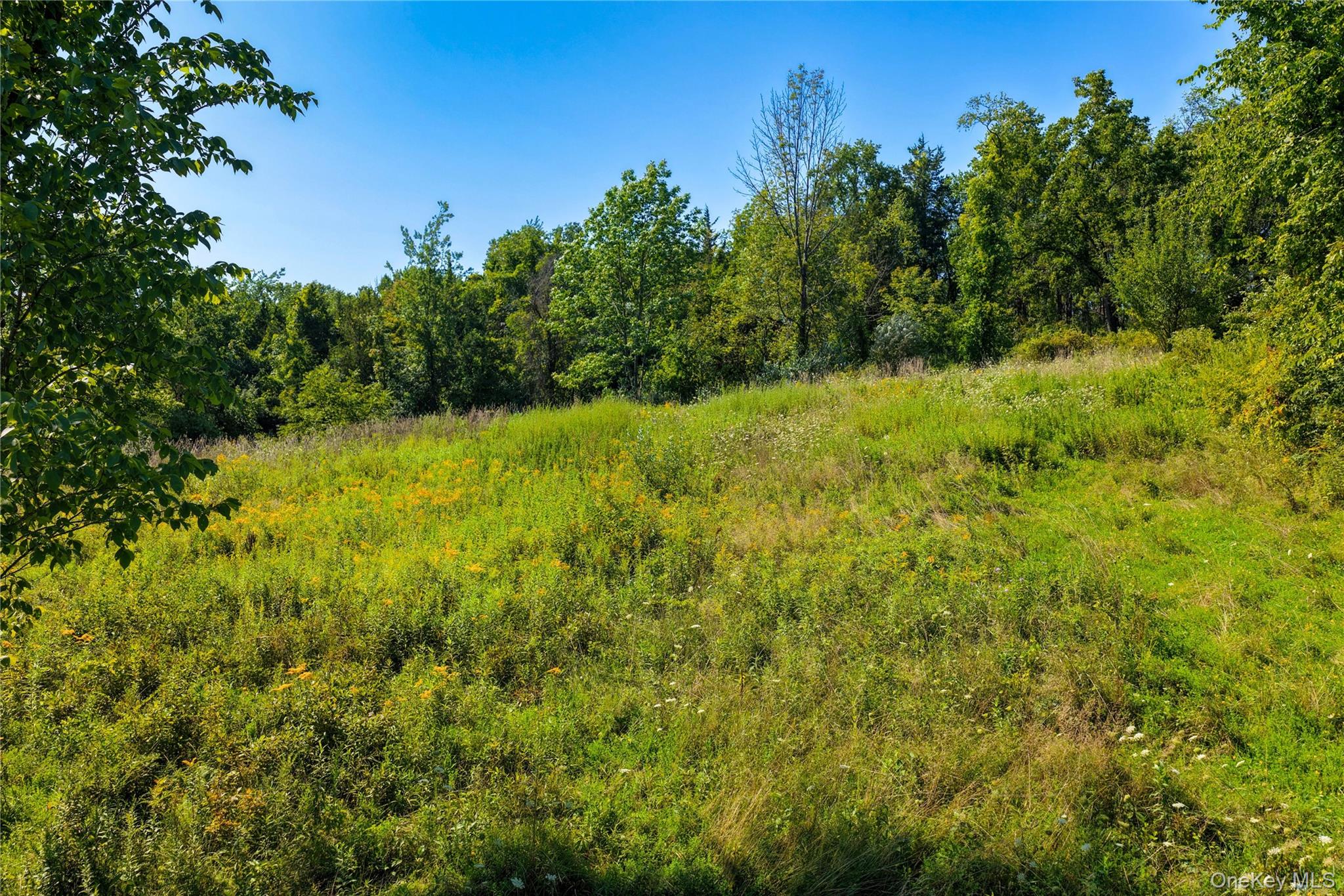 Photo 5 of Land for sale at 673 Embought Rd, Catskill, NY 12414 | MLS# 1044981 | Listing updated on 2026-09-02