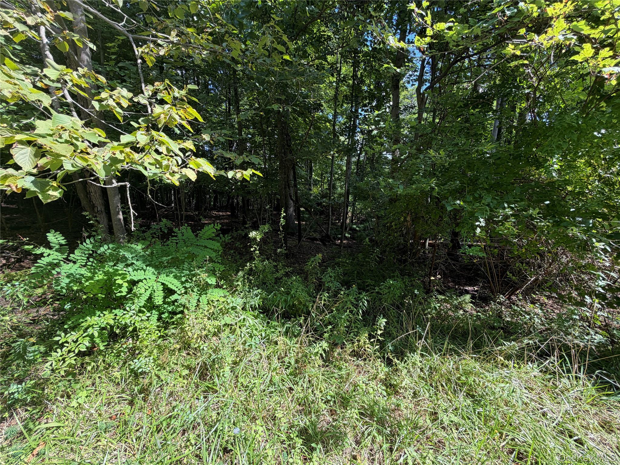 Photo 1 of Land for sale at Lot 201 Mt Prosper Rd, Mamakating, NY 12790 | MLS# 1045418 | Listing updated on 2026-09-04