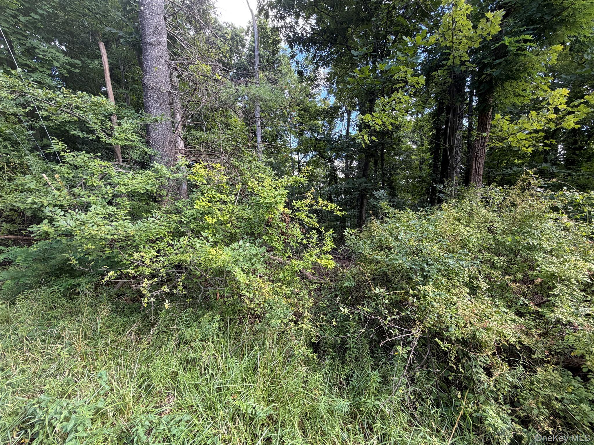 Photo 3 of Land for sale at Lot 201 Mt Prosper Rd, Mamakating, NY 12790 | MLS# 1045418 | Listing updated on 2026-09-04