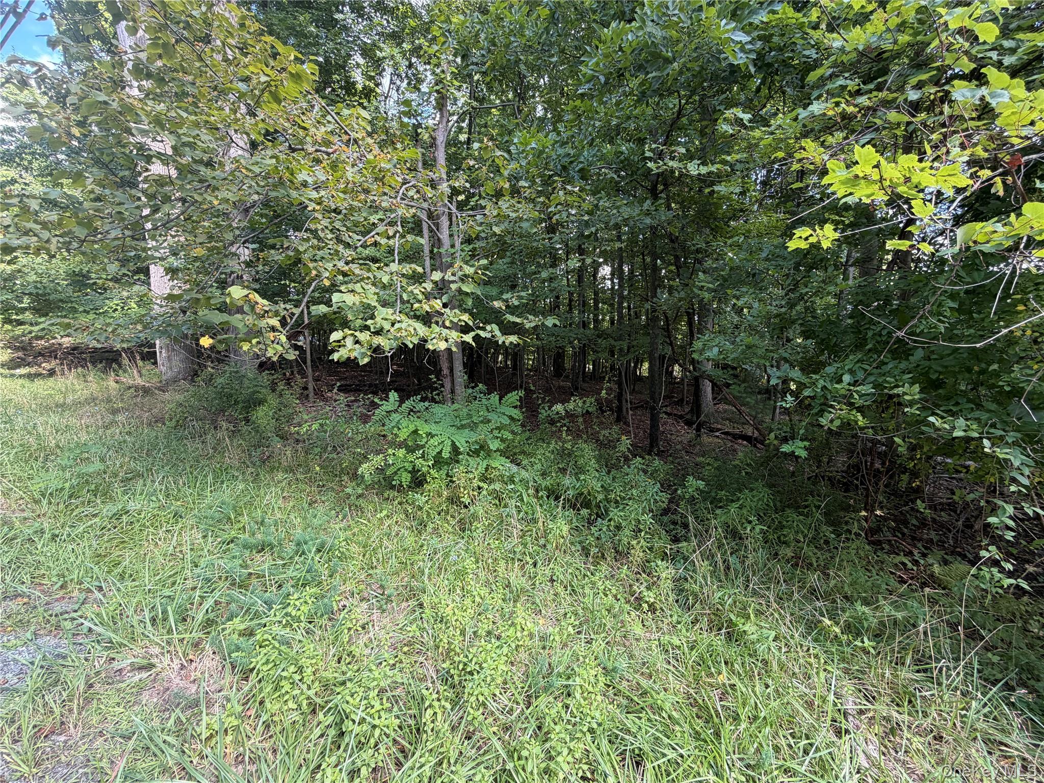 Photo 2 of Land for sale at Lot 201 Mt Prosper Rd, Mamakating, NY 12790 | MLS# 1045418 | Listing updated on 2026-09-04