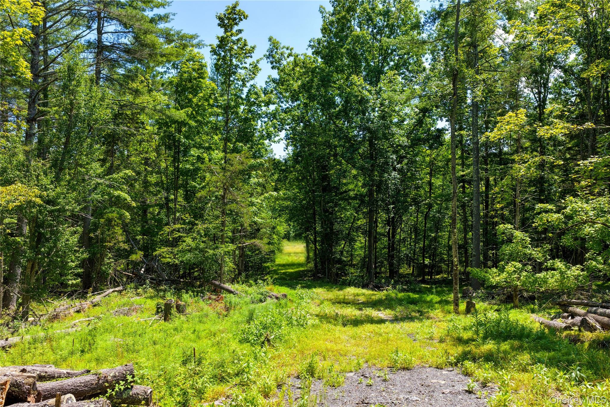 Photo 4 of Land for sale at 153 Roosevelt Ave, Cairo, NY 12413 | MLS# 1045511 | Listing updated on 2026-09-02
