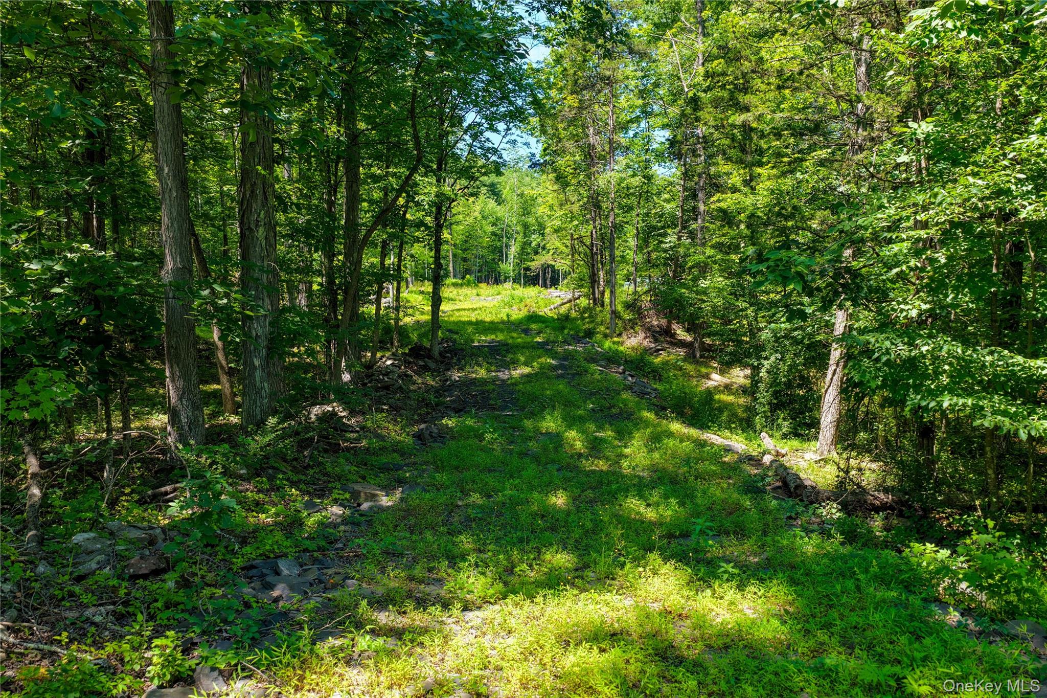 Photo 3 of Land for sale at 153 Roosevelt Ave, Cairo, NY 12413 | MLS# 1045511 | Listing updated on 2026-09-02