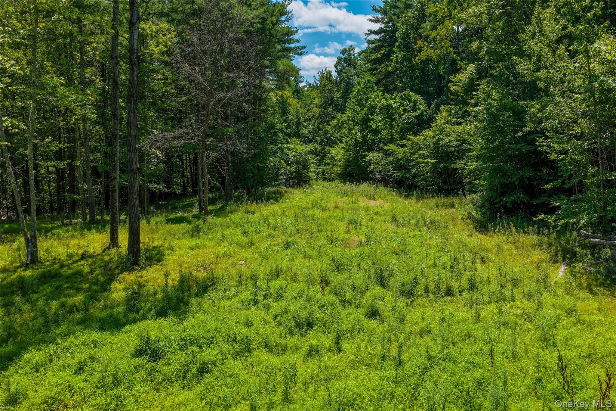 Photo 1 of Land for sale at 153 Roosevelt Ave, Cairo, NY 12413 | MLS# 1045511 | Listing updated on 2026-09-02