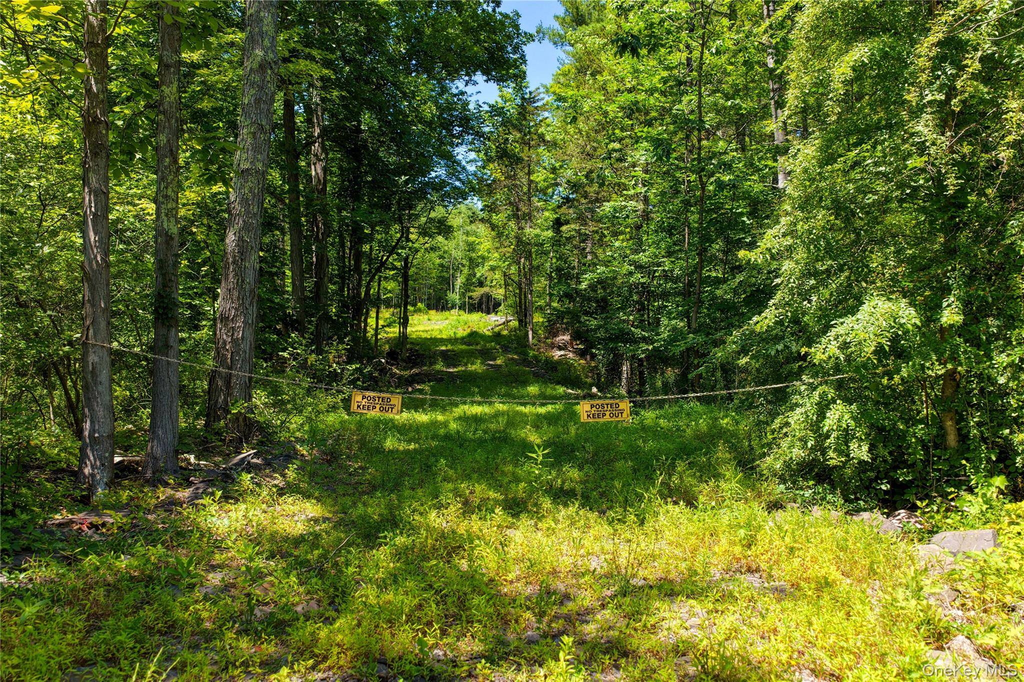 Photo 5 of Land for sale at 153 Roosevelt Ave, Cairo, NY 12413 | MLS# 1045511 | Listing updated on 2026-09-02