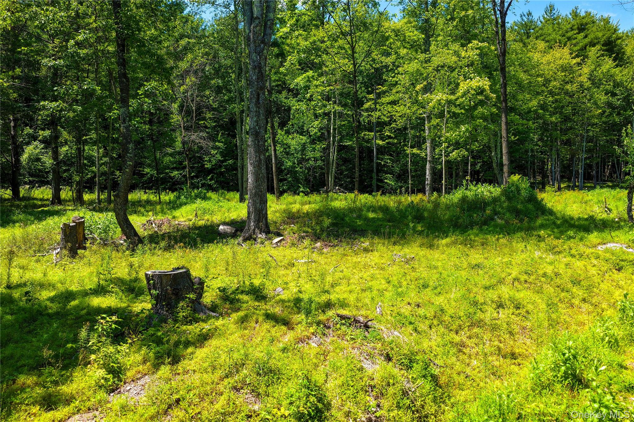 Photo 9 of Land for sale at 153 Roosevelt Ave, Cairo, NY 12413 | MLS# 1045511 | Listing updated on 2026-09-02