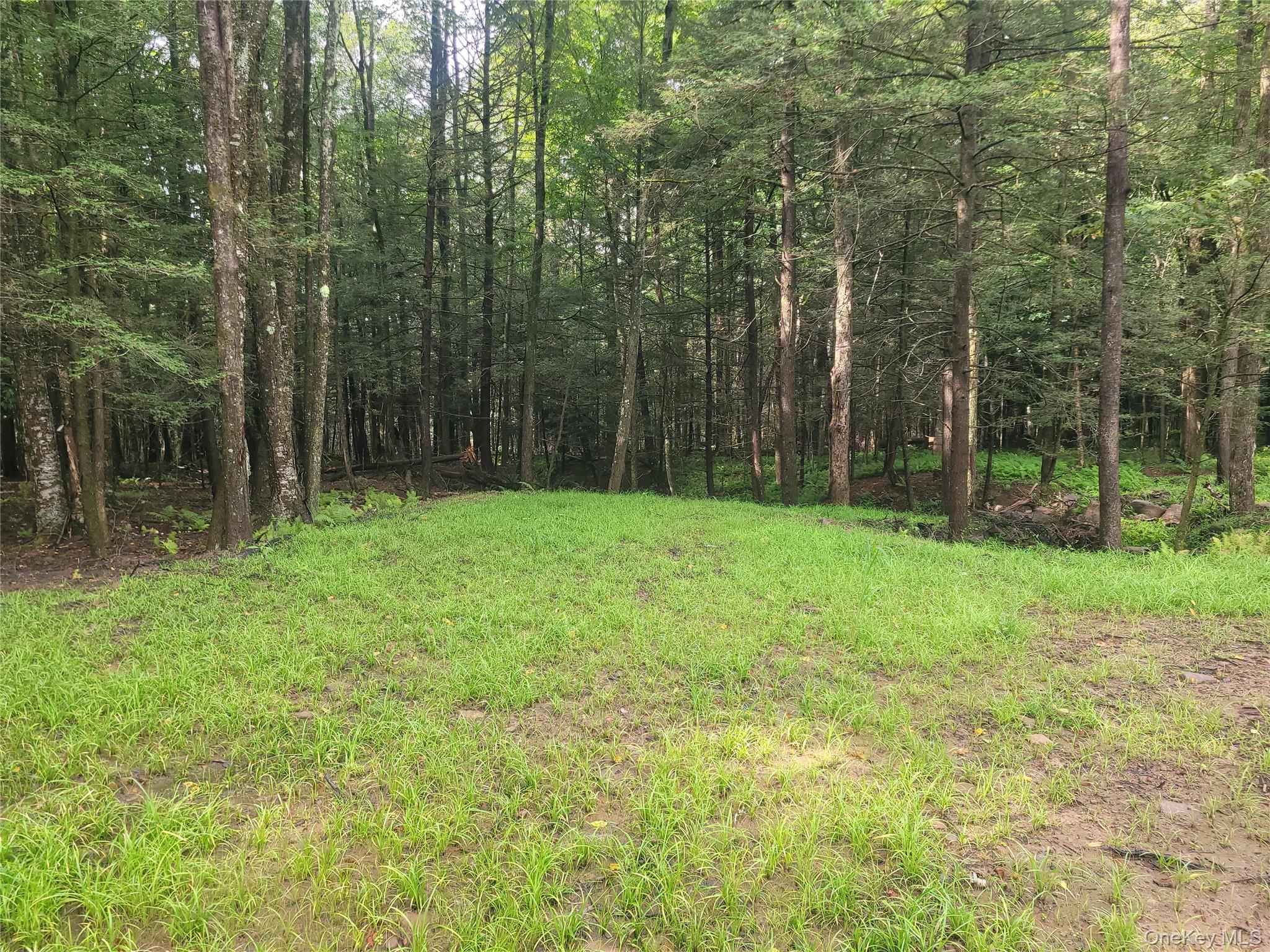 Photo 5 of Land for sale at 361 Ahrens Rd, Liberty, NY 12768 | MLS# 1046502 | Listing updated on 2026-09-04