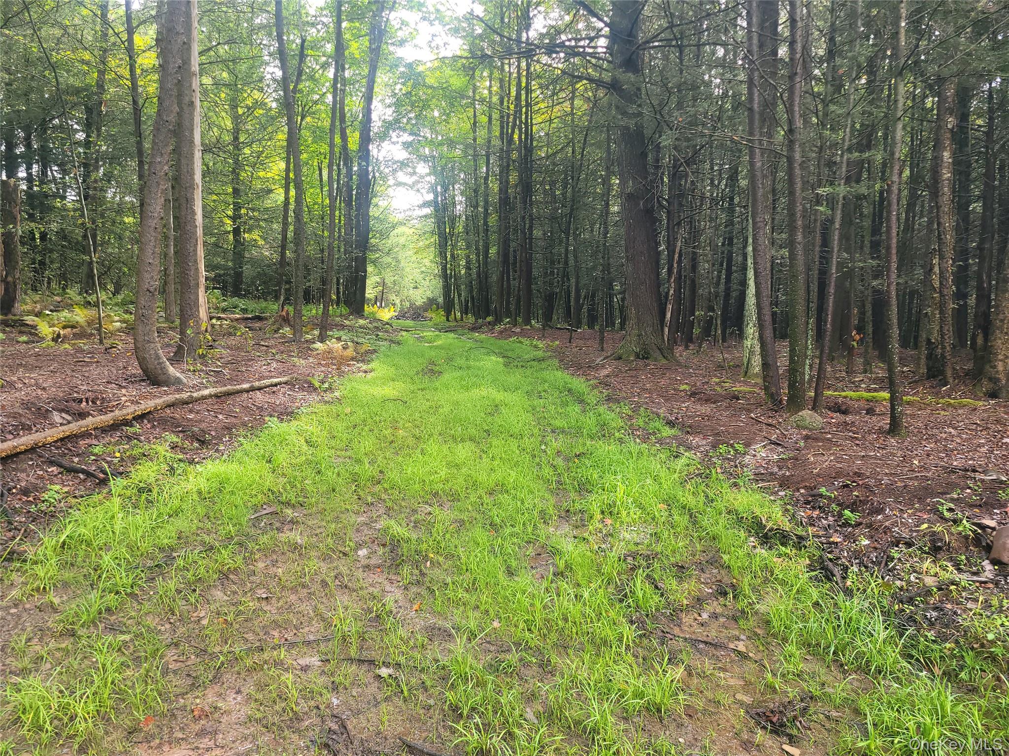 Photo 3 of Land for sale at 361 Ahrens Rd, Liberty, NY 12768 | MLS# 1046502 | Listing updated on 2026-09-04