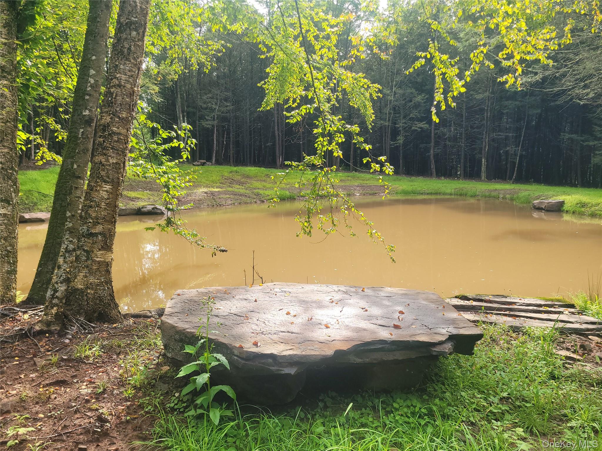 Photo 2 of Land for sale at 361 Ahrens Rd, Liberty, NY 12768 | MLS# 1046502 | Listing updated on 2026-09-04