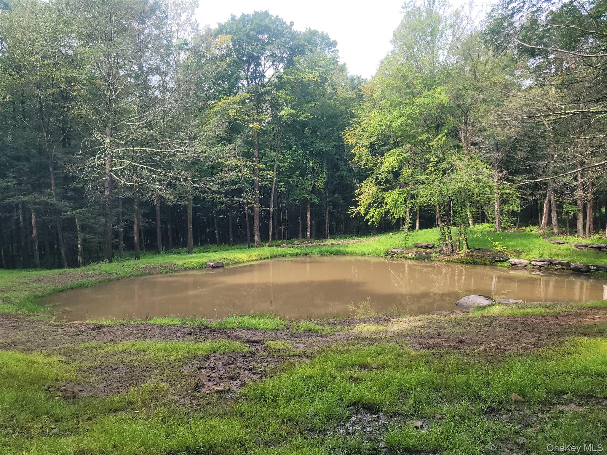 Photo 1 of Land for sale at 361 Ahrens Rd, Liberty, NY 12768 | MLS# 1046502 | Listing updated on 2026-09-04