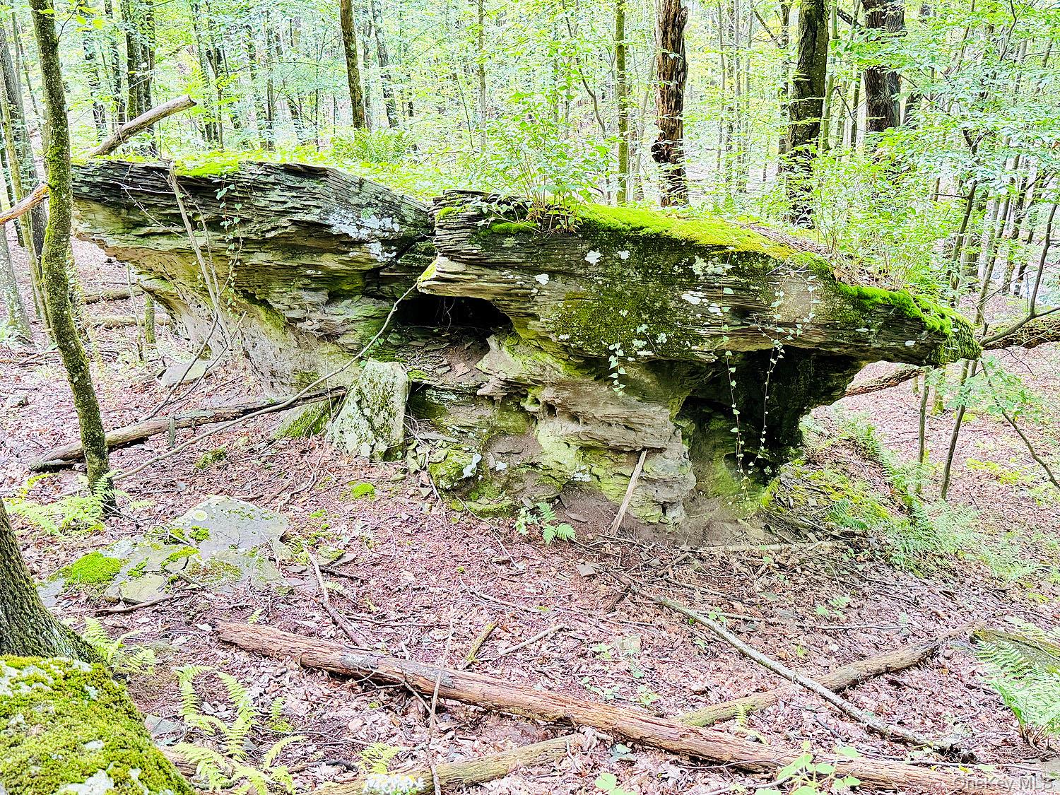 Photo 1 of Land for sale at 00 Hammer Rd, Fremont, NY 12736 | MLS# 1046551 | Listing updated on 2026-09-05