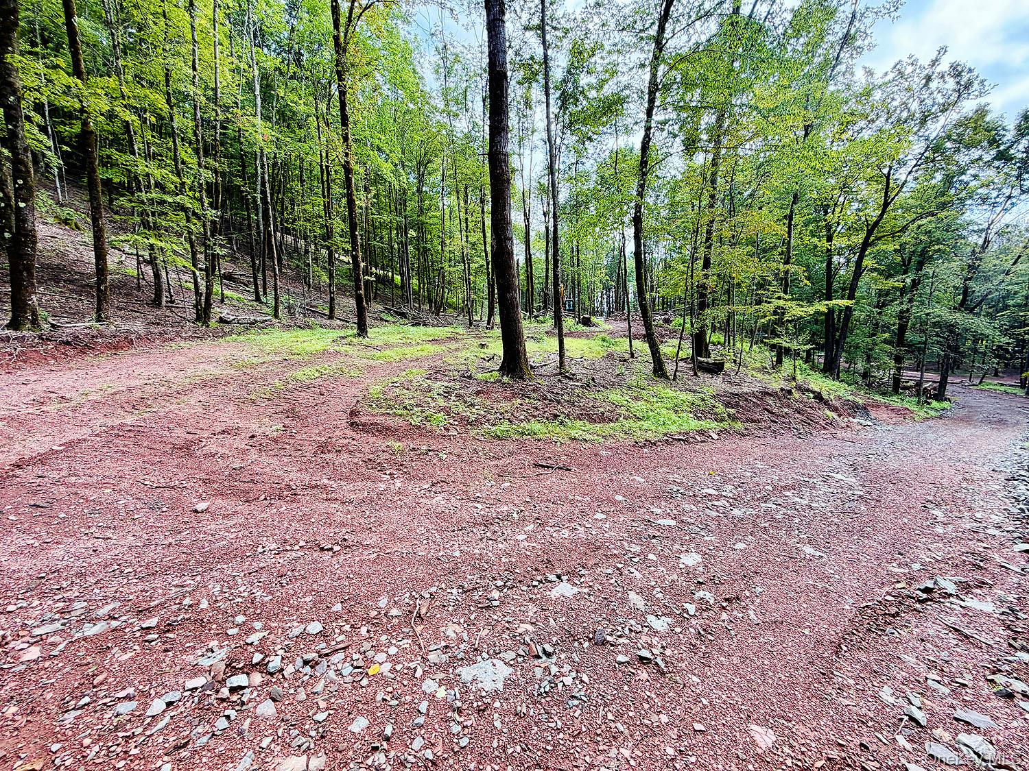 Photo 3 of Land for sale at 00 Hammer Rd, Fremont, NY 12736 | MLS# 1046551 | Listing updated on 2026-09-05