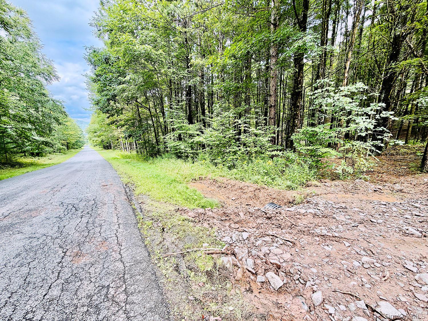 Photo 27 of Land for sale at 00 Hammer Rd, Fremont, NY 12736 | MLS# 1046551 | Listing updated on 2026-09-05