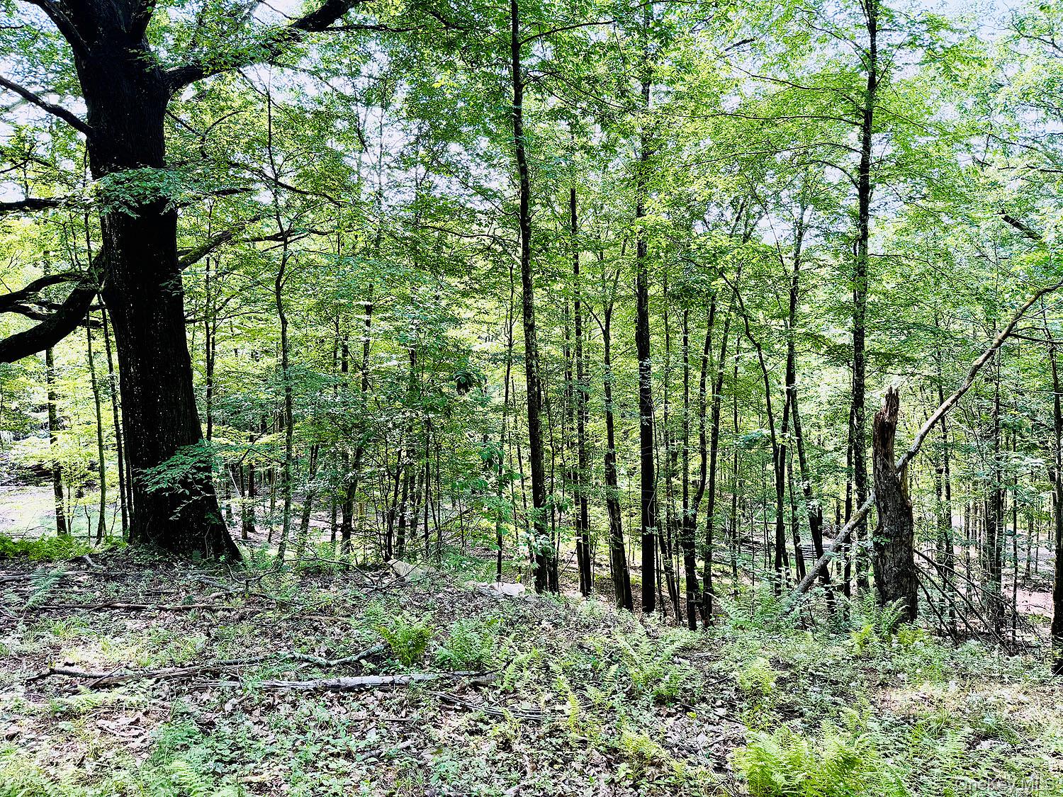 Photo 5 of Land for sale at 00 Hammer Rd, Fremont, NY 12736 | MLS# 1046551 | Listing updated on 2026-09-05