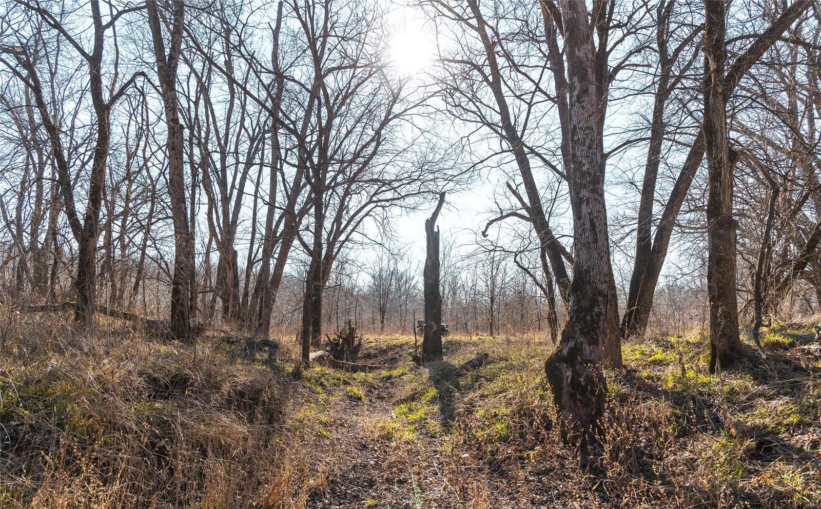 Photo 56 of Land for sale at 477 Windes Ridge Road Tract 1, Richland, MO 65556 | MLS# 24076802 | Listing updated on 2024-12-23