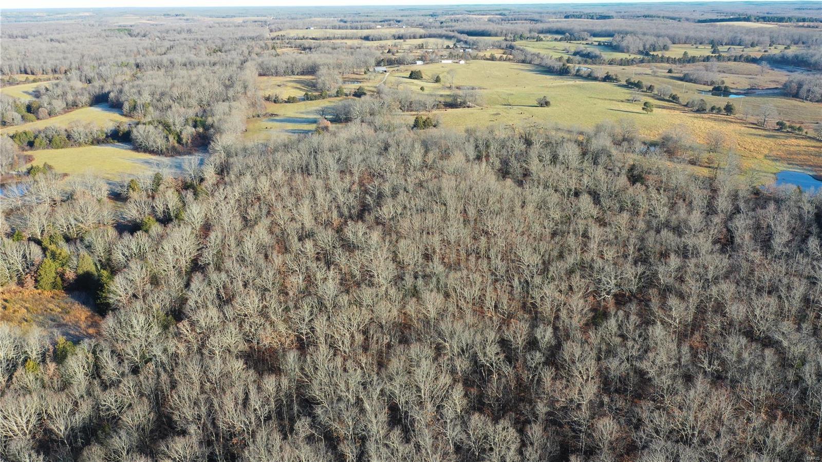 Homes for sale in Salem, MO | 0 Tbd Hwy N, Salem, MO 65560 | MLS# 24076959